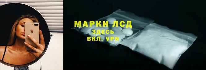ГАЛЛЮЦИНОГЕННЫЕ ГРИБЫ Михайловск