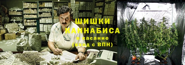 ГАЛЛЮЦИНОГЕННЫЕ ГРИБЫ Михайловск