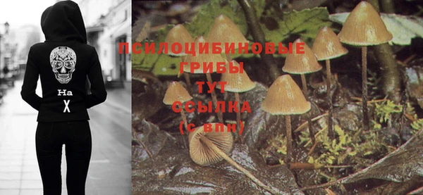 хмурый Михайлов