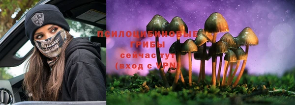 хмурый Михайлов