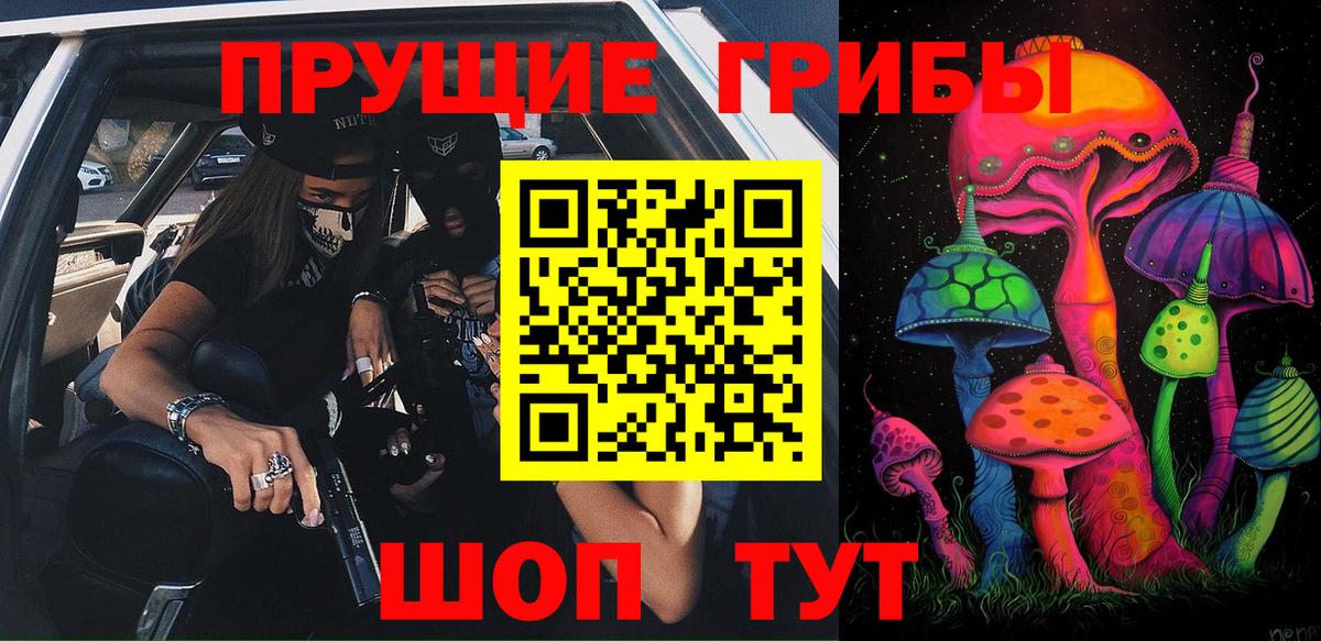 Галлюциногенные грибы Psilocybe Ярцево