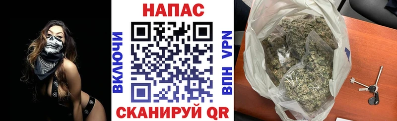 дарнет шоп  Ярцево  Конопля план 